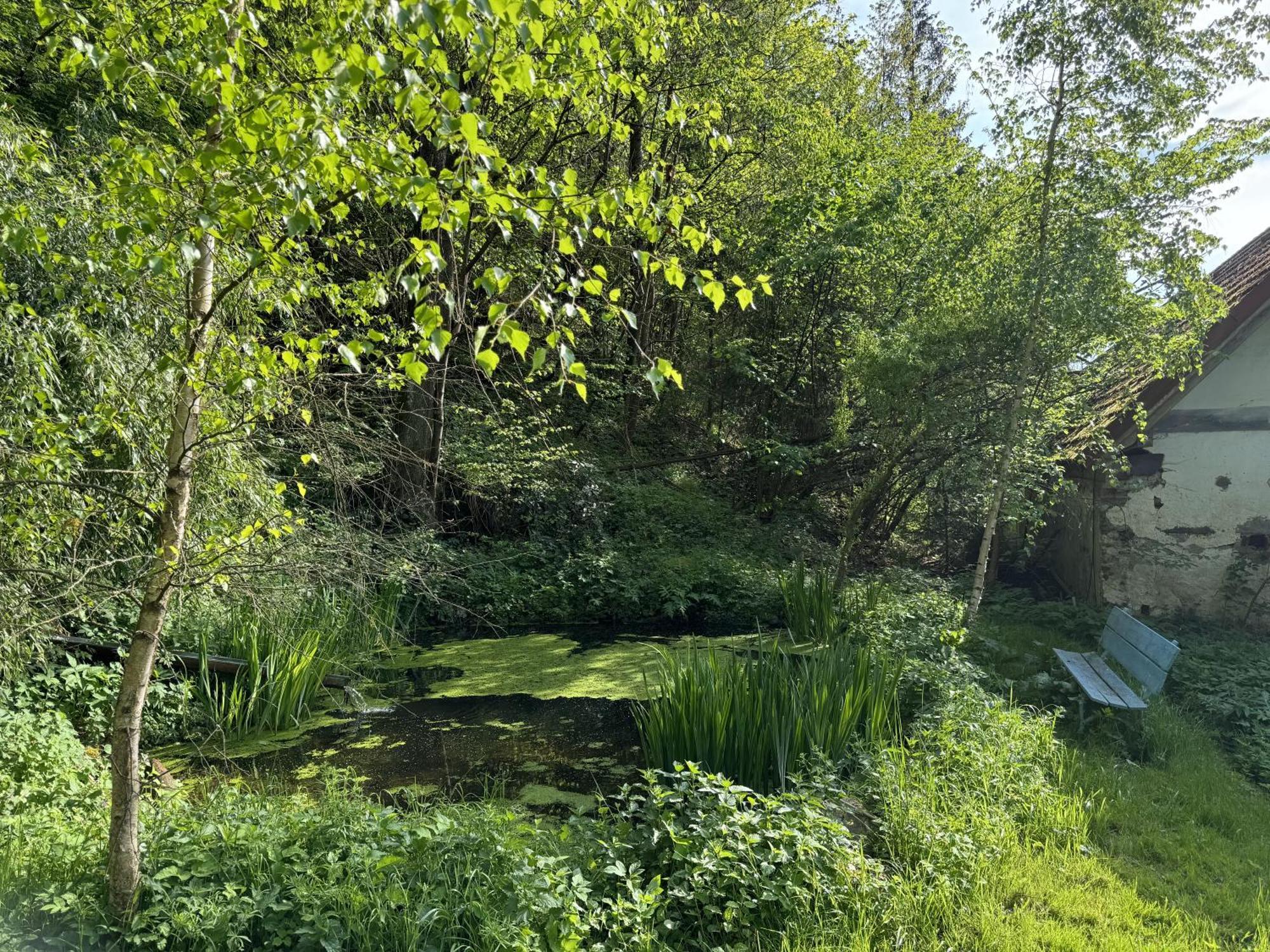 Bejsovcuv Mlyn Villa Becice Bagian luar foto